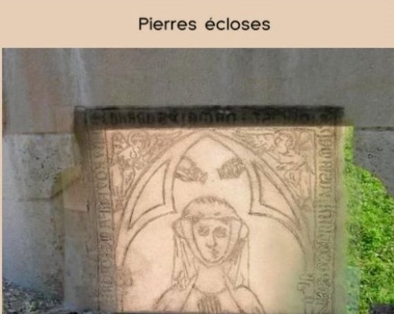 Pierres écloses